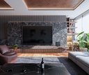 Professional Rendering